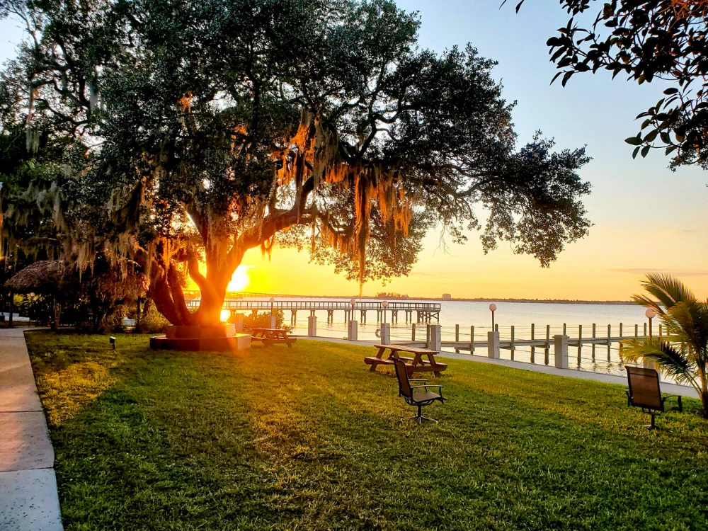 top rehabs in Pinellas County Florida