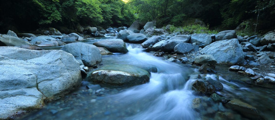 Preventing Relapse After Drug and Alcohol Detox