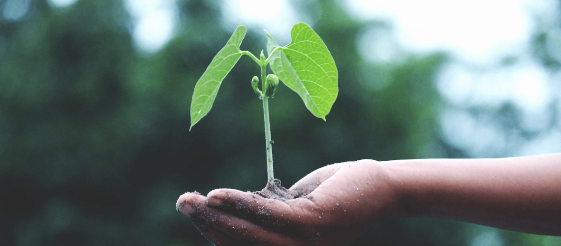 The Importance of a Medical Detox Facility for Substance Use