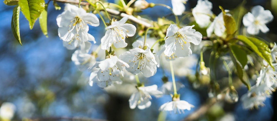 inpatient rehab Spring Hill Florida