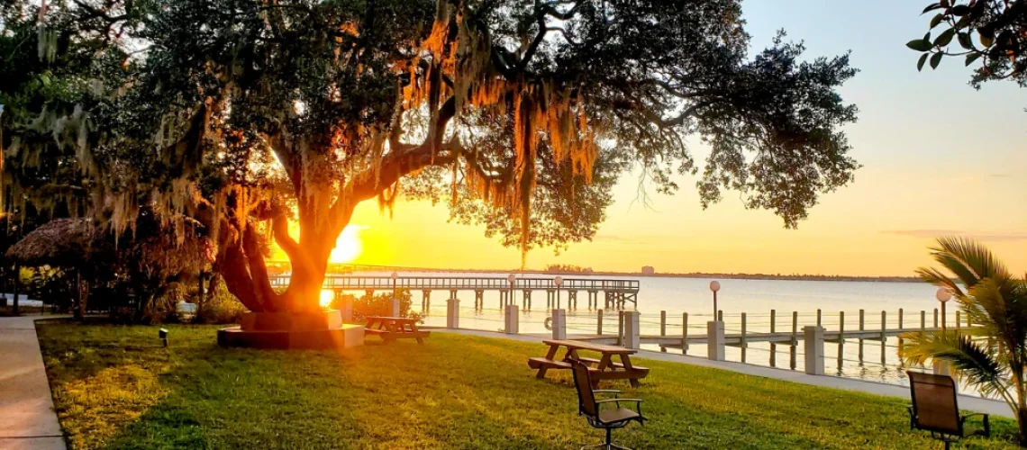 top rehabs in Pinellas County Florida